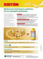 KRITON page 0002