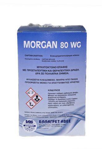 MORGAN 80 WG 100gr