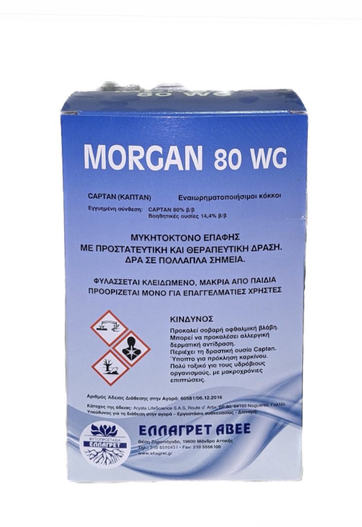 MORGAN 80 WG 100gr