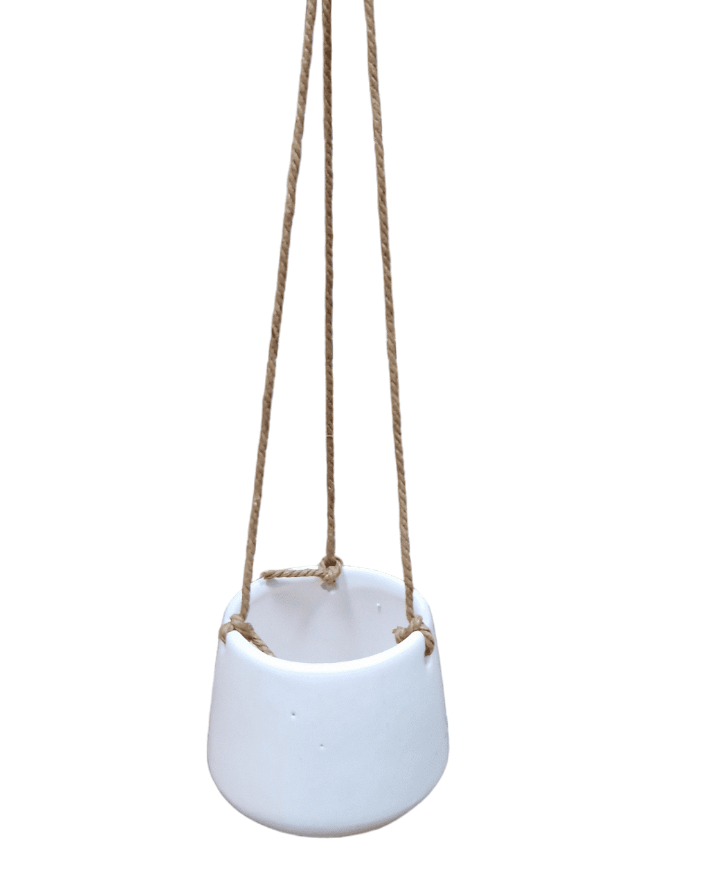 PhotoRoom 20240116 122827 e1706011779441