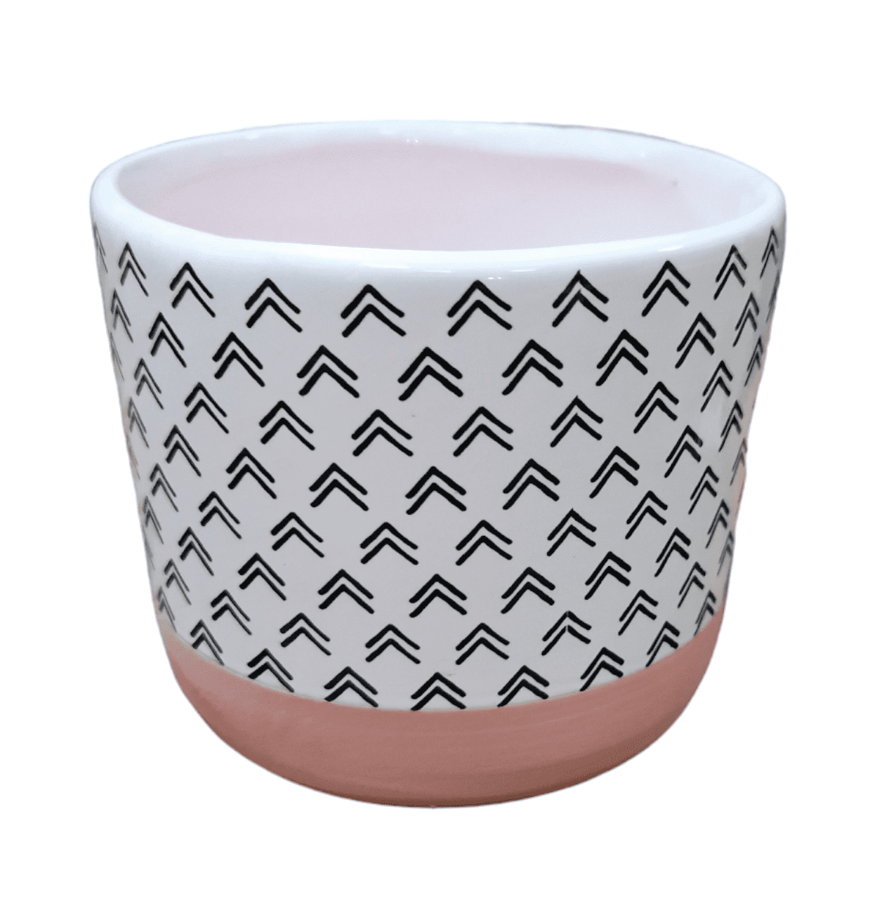 PhotoRoom 20240116 123421 e1706292743169