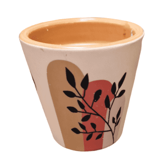 PhotoRoom 20240116 131103 e1705666579792