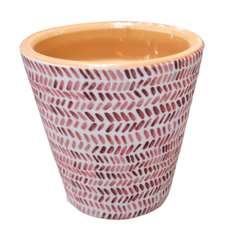 PhotoRoom 20240116 131235 e1705667406414 PhotoRoom 20240116 131235 e1705667406414