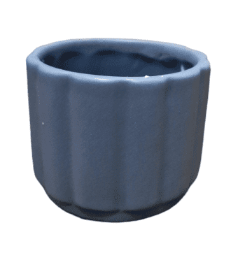 PhotoRoom 20240116 131311 e1705668620372