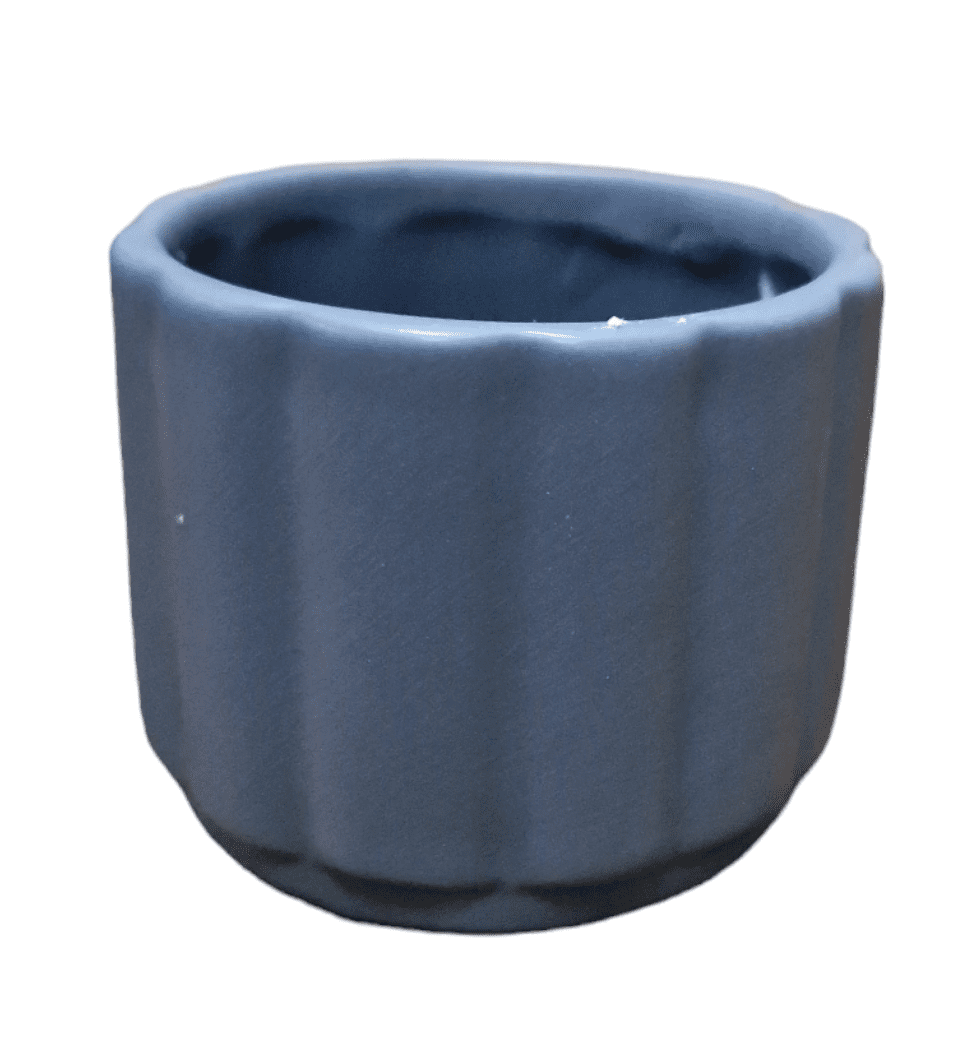 PhotoRoom 20240116 131311 e1705668620372 PhotoRoom 20240116 131311 e1705668620372