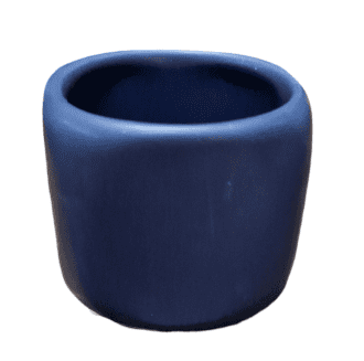 PhotoRoom 20240116 132054 e1705744472877