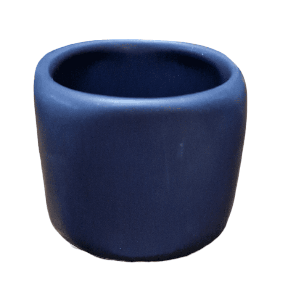 PhotoRoom 20240116 132054 e1705744472877