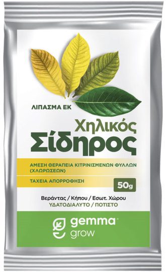 Super Green Χηλικός Σίδηρος σκόνη 50 g