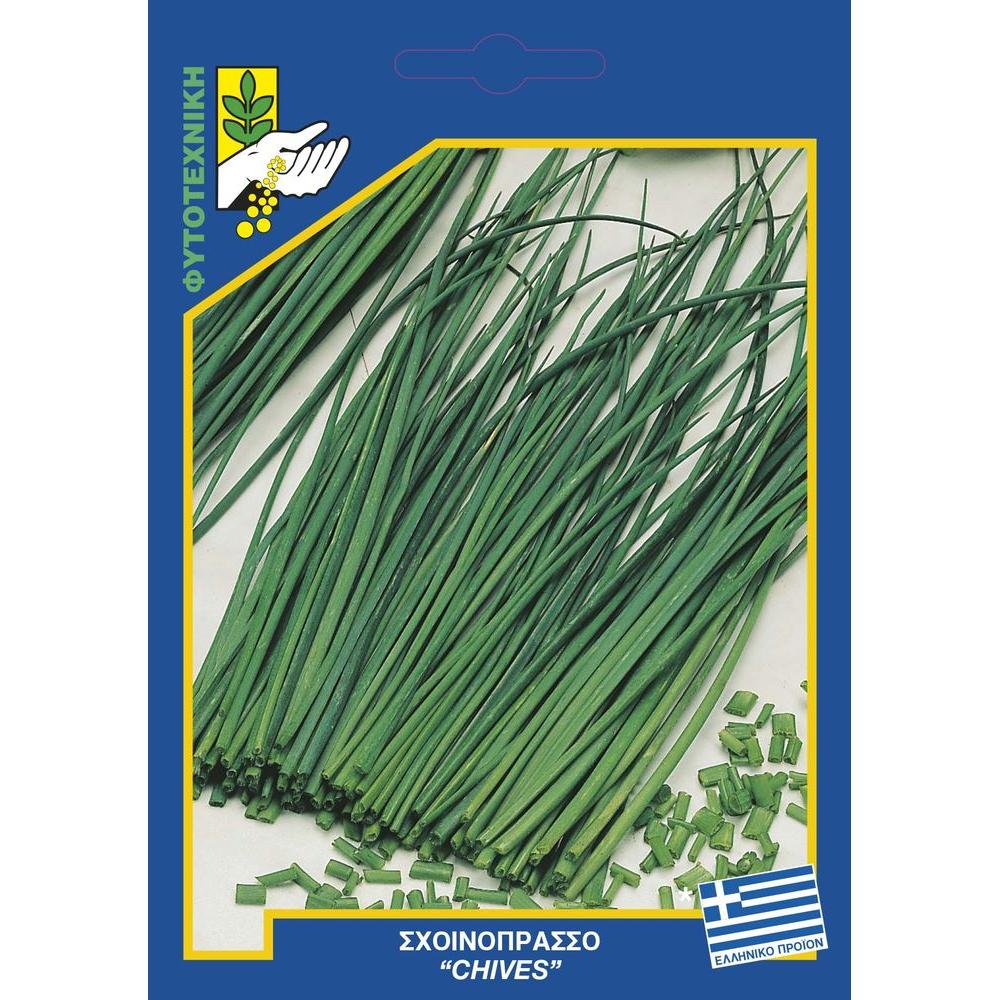 Σχοινόπρασσο