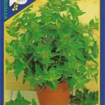 20210517140905 geniki fytotechniki athinon rigani 832