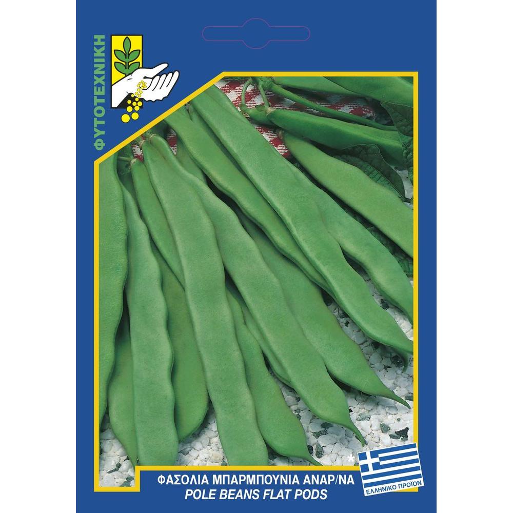 212 pole beans plat garrafalai