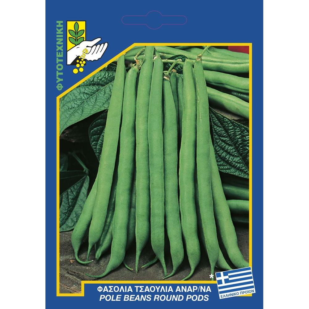 Φασόλι τσαουλί αναρριχώμενο