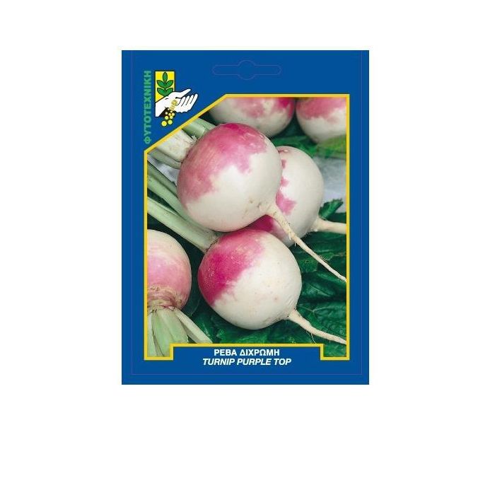 Ρέβα δίχρωμη