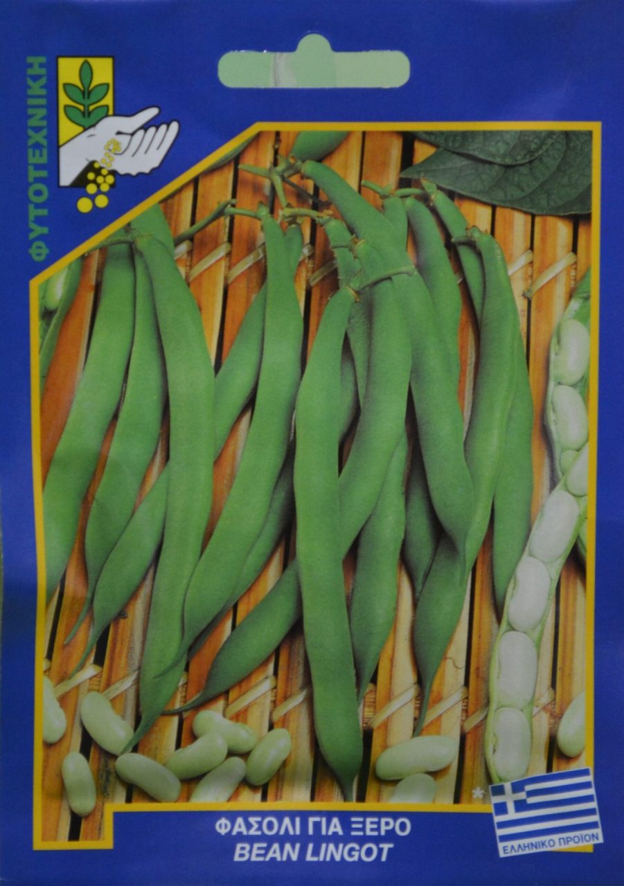Φασόλι για ξερό