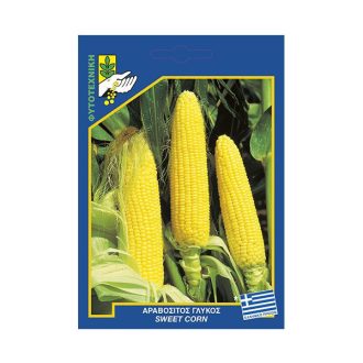 αραβοσιτος γλυκος