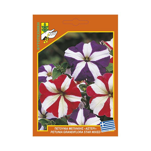 Πετούνια μεγανθής "Αστέρι"