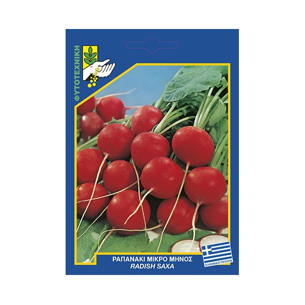 Ραπανάκι μικρό μηνός