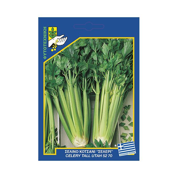 Σέλινο κοτσάνι "Σέλερι"