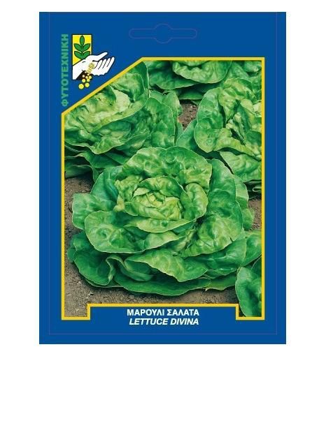 ΜΑΡΟΥΛΙ ΣΑΛΑΤΑ