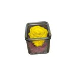 FOREVER ΚΙΤΡΙΝΟ Photoroom