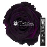 pur 01 Photoroom