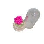 εικόνα Viber 2025 01 24 12 49 15 760 Photoroom