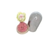 εικόνα Viber 2025 01 24 12 49 15 788 Photoroom