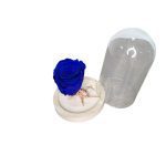 εικόνα Viber 2025 01 24 12 49 15 891 Photoroom