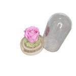 εικόνα Viber 2025 01 24 12 49 16 586 Photoroom