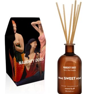 Diffuser Home Sweet Home