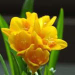 d176324f40bd514599e93fe92331ad68 large