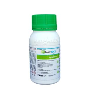 ICON 10CS