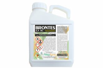BRONTES 5LT