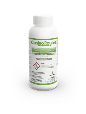 CasinoRoyale 1lt imp