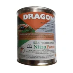 DRAGON 1 510x510