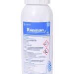 ranman top