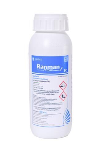 ranman top